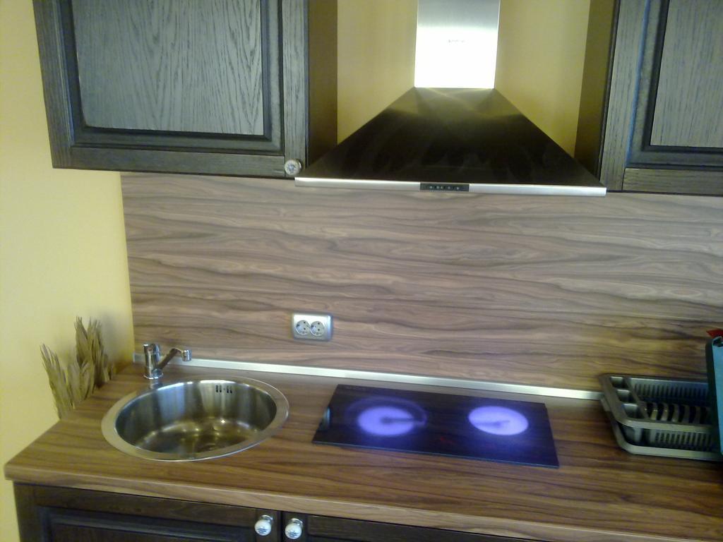 Mountain Dreams Apartment Sapareva Banya Luaran gambar