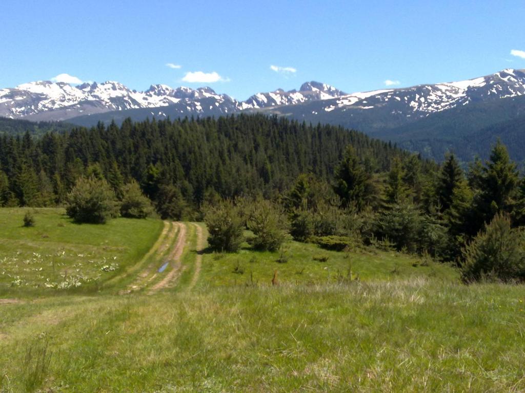 Mountain Dreams Apartment Sapareva Banya Luaran gambar